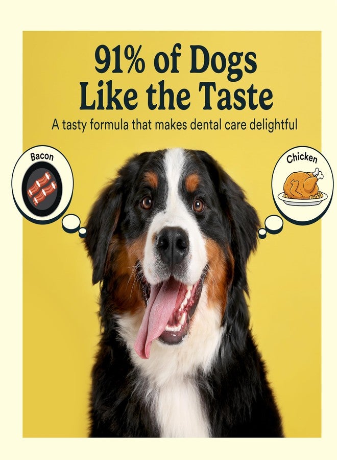 Jasper Dog Toothpaste Double Enzymatic - Plaque Remover for Teeth, Whitens Teeth, Freshens Canine Breath Natural Pet Toothpaste, Chicken/Poultry Flavor 3.5oz - Image 2